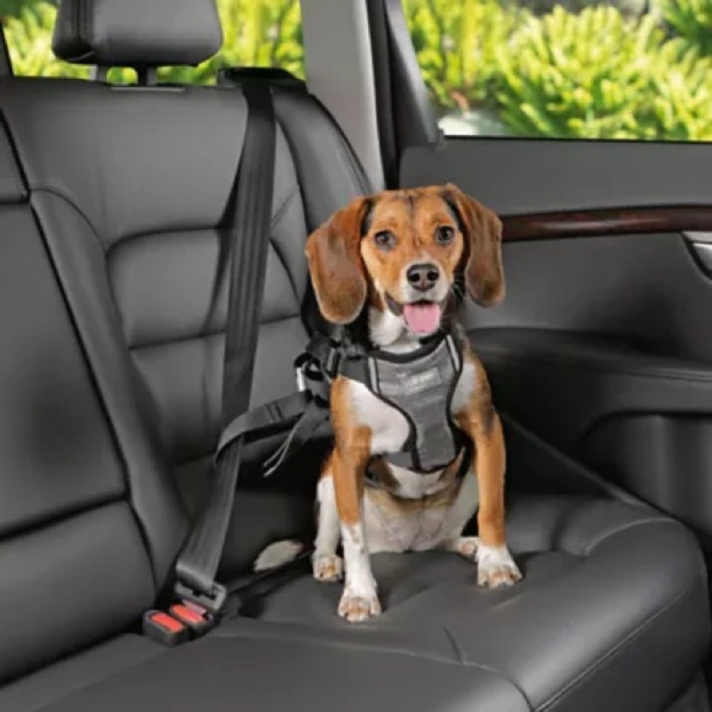 Top Paw Deluxe Car Safety Harness